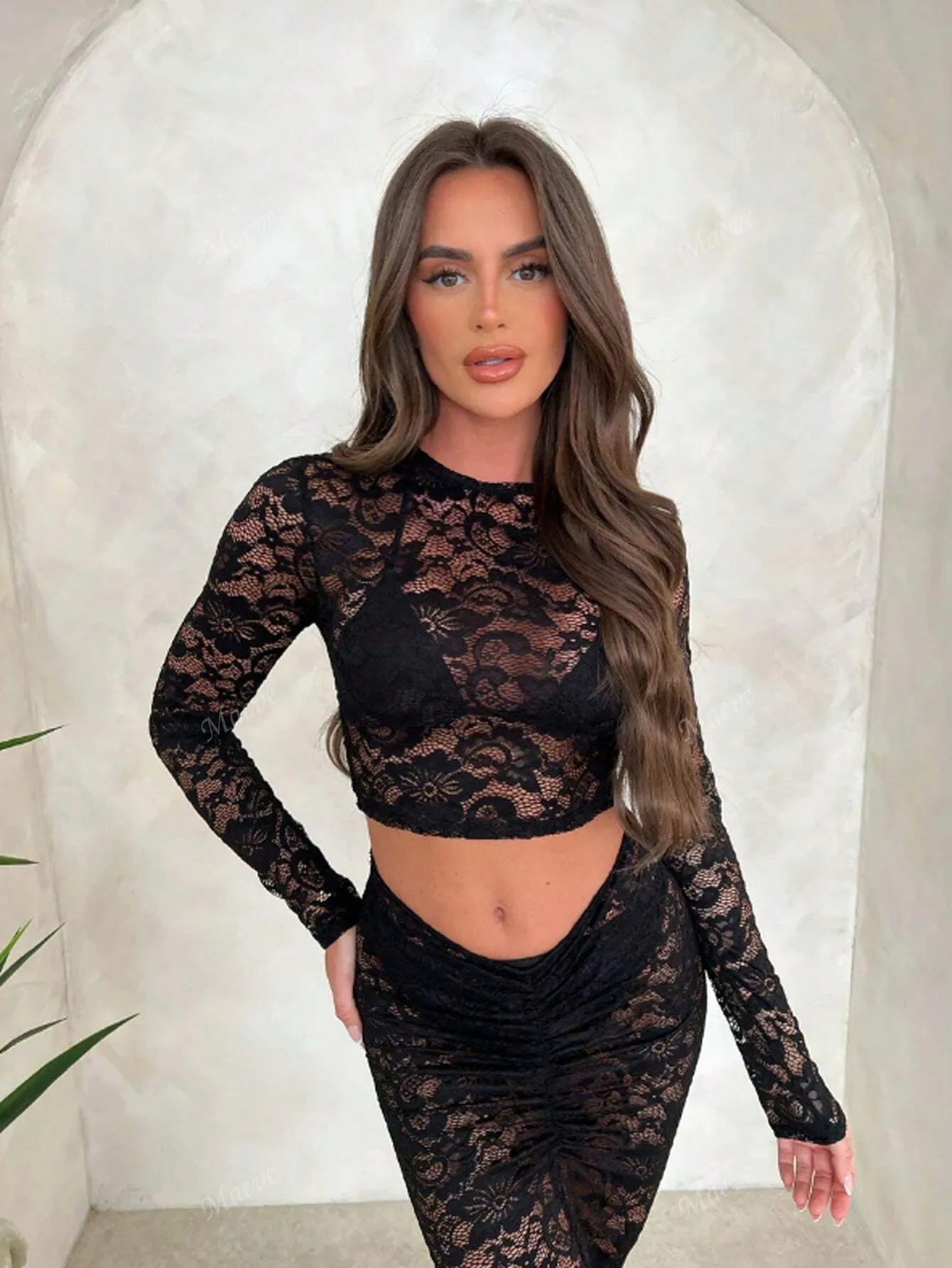 2pcs Set Of Sheer Crew Neck High Waisted Long Sleeve Cinched Waist Bodycon Lace Dress