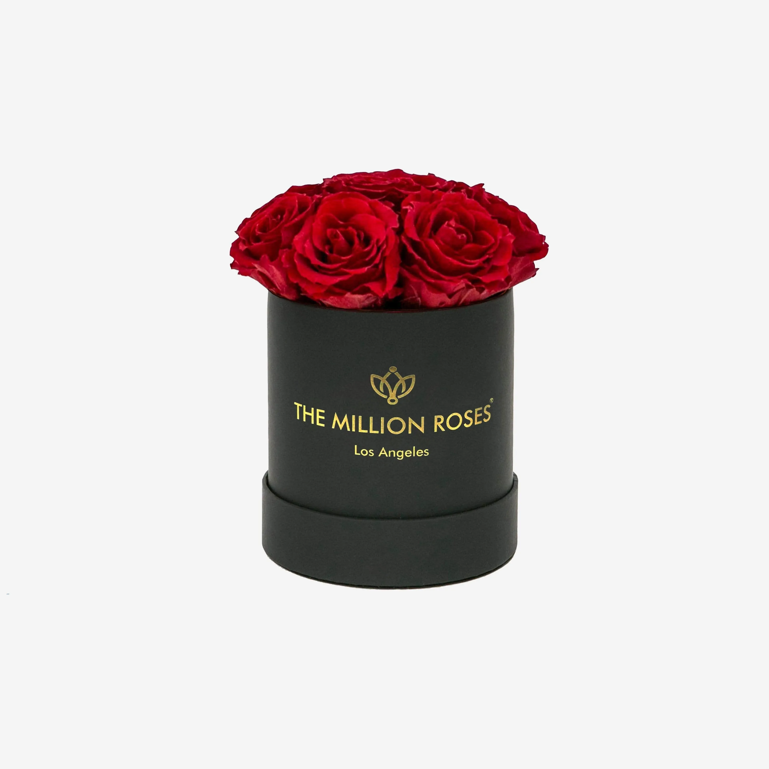 Basic Black Box | Red Roses