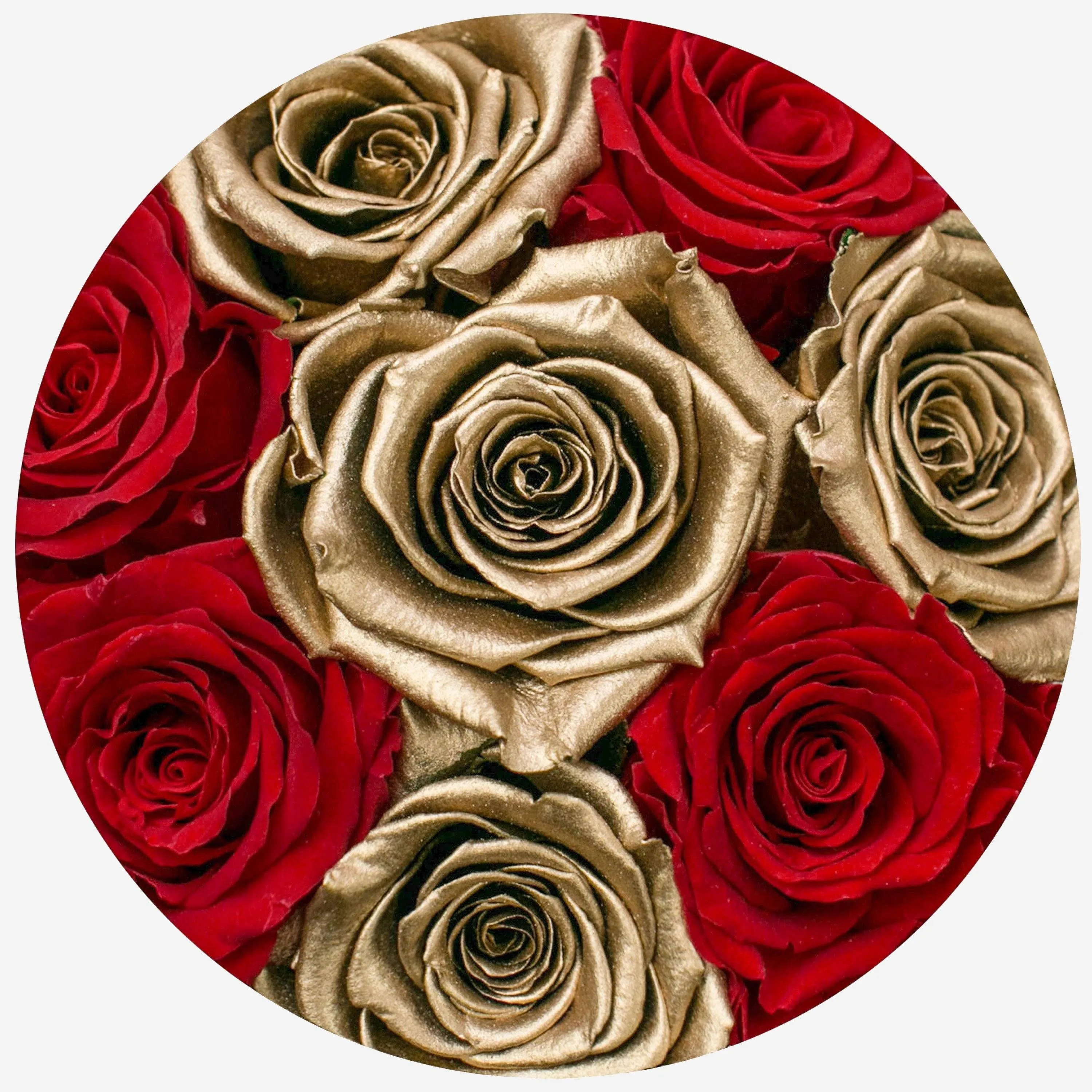 Basic Gold Box | Red & Gold Roses