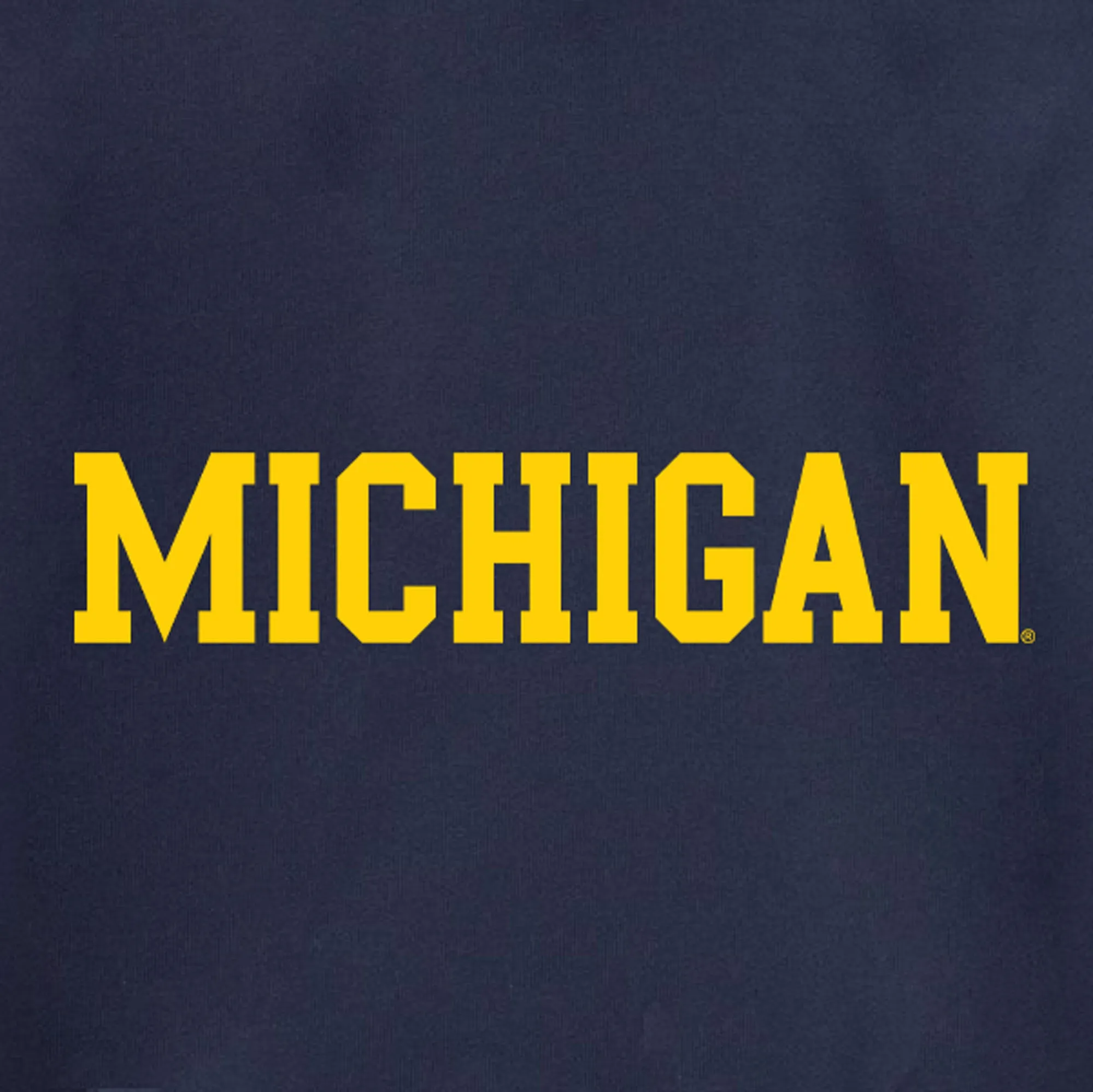 Block Michigan Youth Sponge Fleece Hoodie - Navy